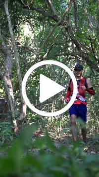 BIB:  <button type="button" onclick="openModal(28063781)" class="btn btn-primary btn-sm float-right" data-toggle="modal" data-target=".modal-high-quality">
                <i class="fa fa-download"></i> Download
                </button>